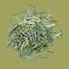 Himalayan Lemongrass