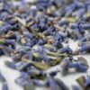 Himalayan Lavender Buds