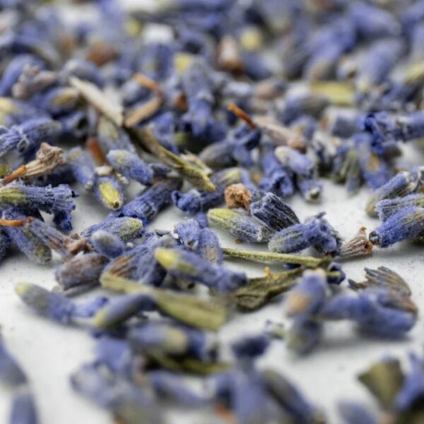 Himalayan Lavender Buds 2 Himalayan Lavender Buds