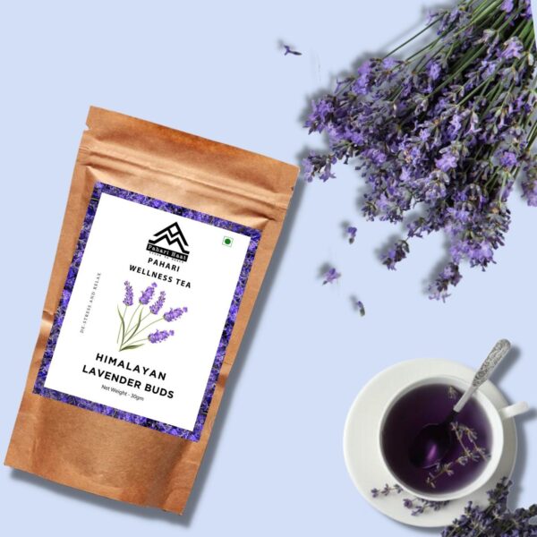 Himalayan Lavender Buds Himalayan Lavender Buds