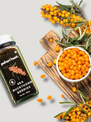 Top_Grade_Sea_Buckthorn_Berries_Vitamin_C_Source_1000x Himalayan Seabuckthorn